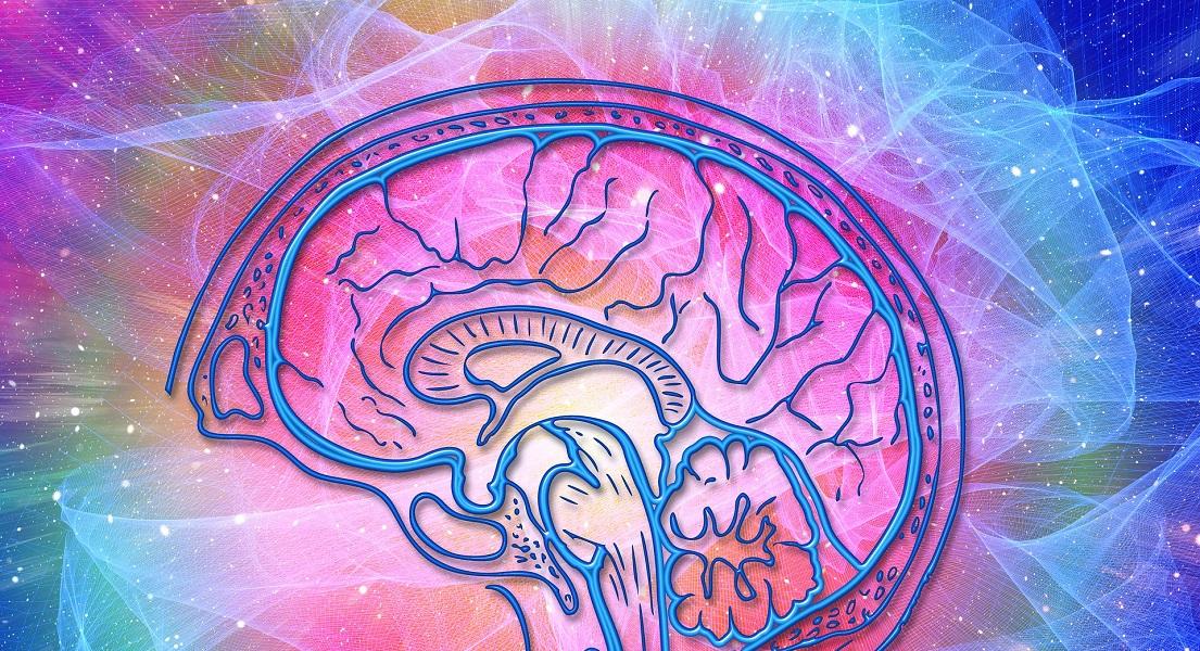 How To Look After Your Blood Brain Barrier